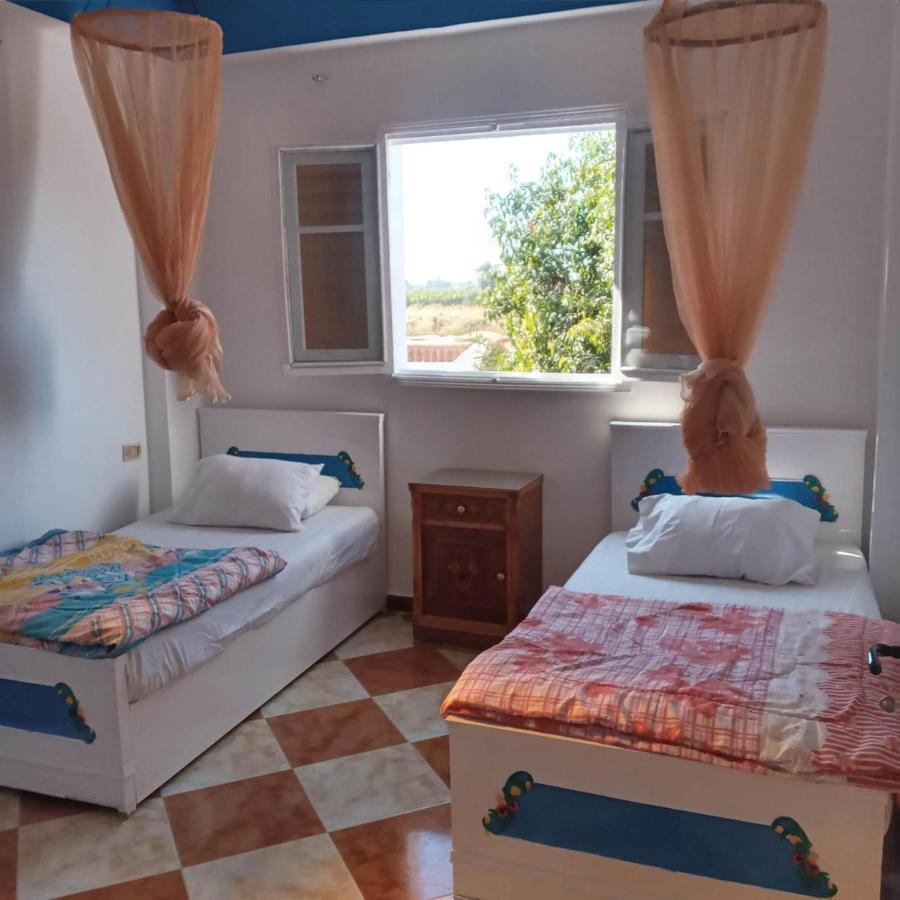 Daire Adam And Eve House